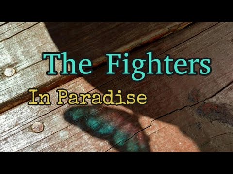 In Paradise - The Fighters