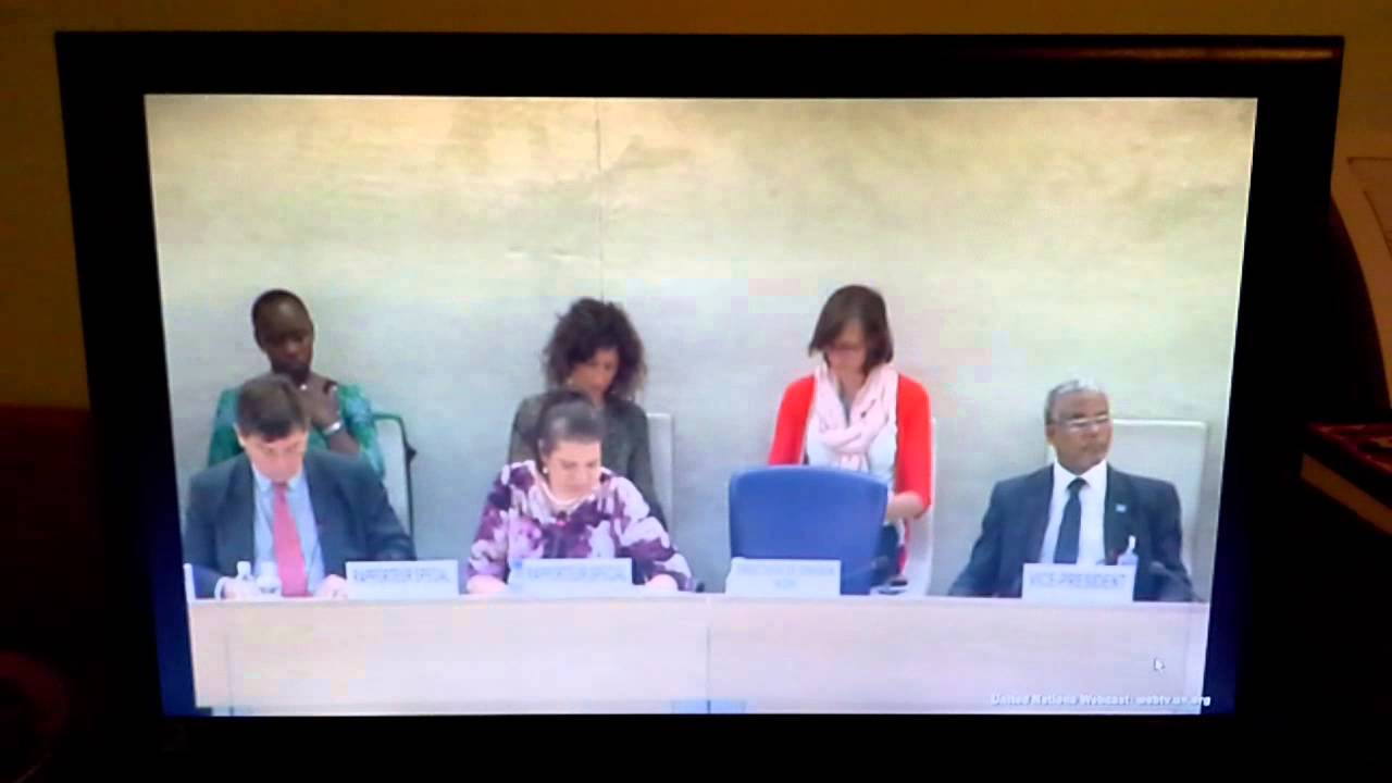 UN Human Rights Council review of the human rights situation for Romani people worldwide