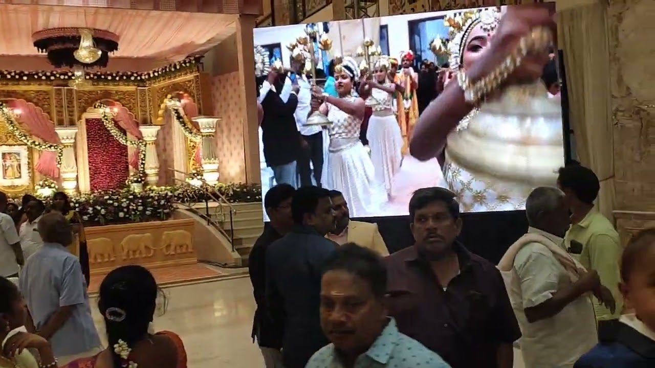 VIP CITY.. My owners son,'s marriage at salem