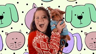 Bryan School 2019 Holiday Video