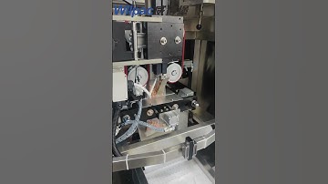 European quality, factory price weighing and packing 2 in 1 machine#bagger #packingmachine #factory