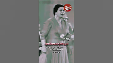 حبيب قلبي وقلبي معاه الحب كدا ام كلثوم نغم وتناغم 