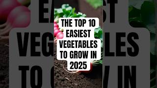 TOP 10 EASIEST VEGETABLE TO GROW  #Gardening #fyp #harvest #freshfood  #vegetablegarden #farmlife