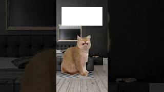 I Lied. I Do Care. Visual Cr .Shells386