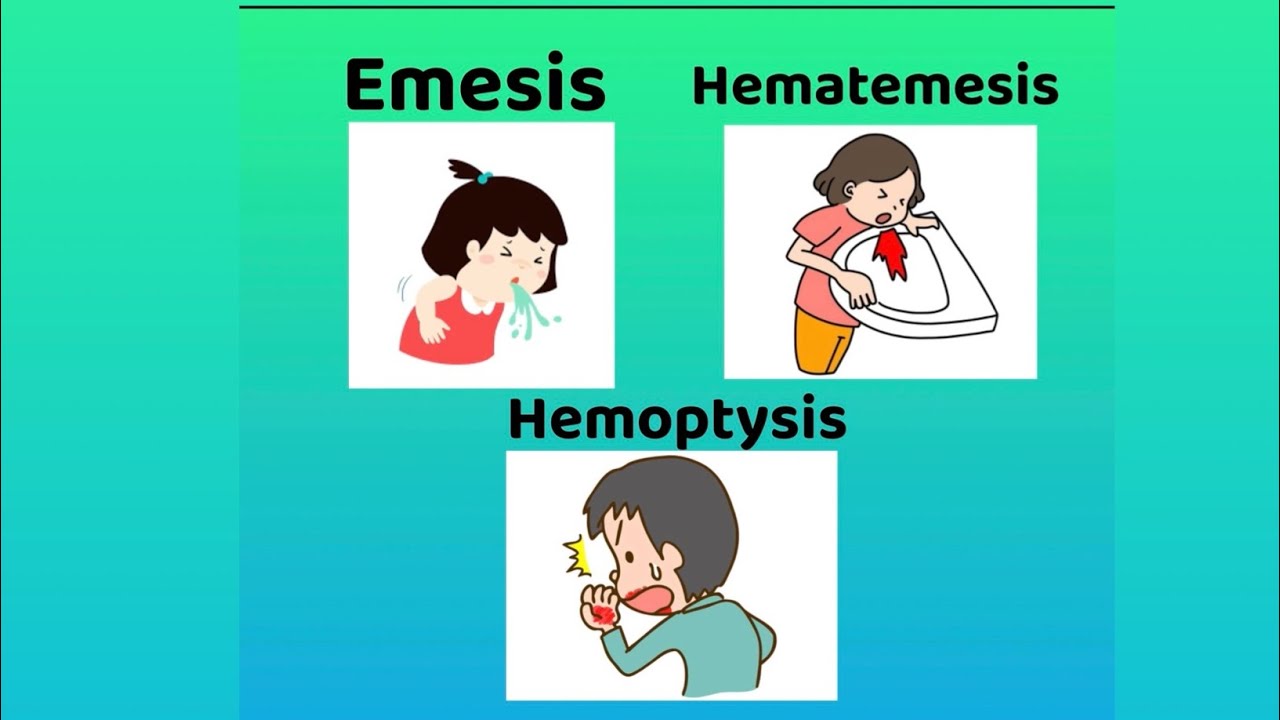 Emesis Vs Hematemesis Vs Hemoptysisdifferences Youtube 