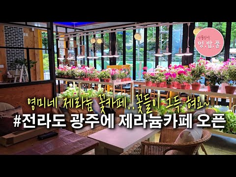 꽃&카페