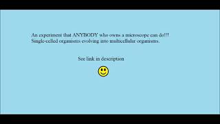An experiment that ANYBODY who owns a microscope can do!