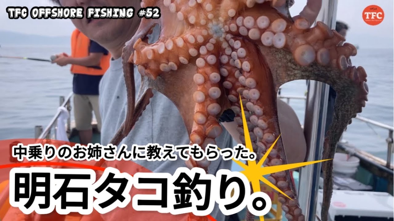 Octopus] Even beginners can fish octopus with this class! Akashi