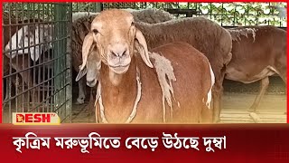 Porno birodar singlisiga massaj qildi