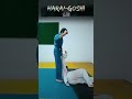 Harai-Goshi / 払腰