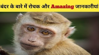 #shorts | Amazing Fact About Monkey 2021 | 6 fact releted to monkey #shorts