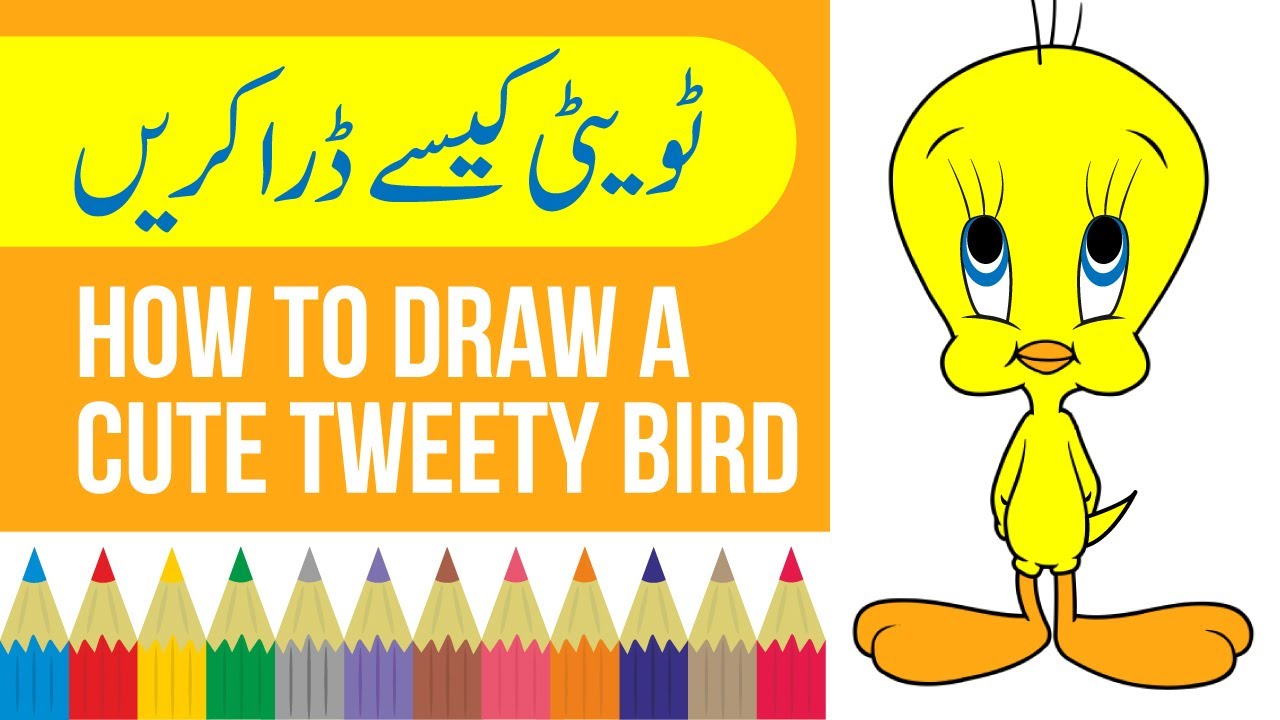 How to draw a cute tweety bird | ٹویٹی کی ڈرائنگ کیسے کریں  | Step by step tweety drawing & coloring