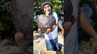 Strawberry Cherimoya Reaction...