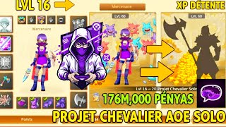 FLYFF UNIVERSE : Mon projet CHEVALIER AOE SOLO ! 🛡️ | Session XP Détente (Lvl 15-16)