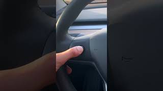 How to Set Your Tesla Scroll Wheel #teslamodely #teslamodel3