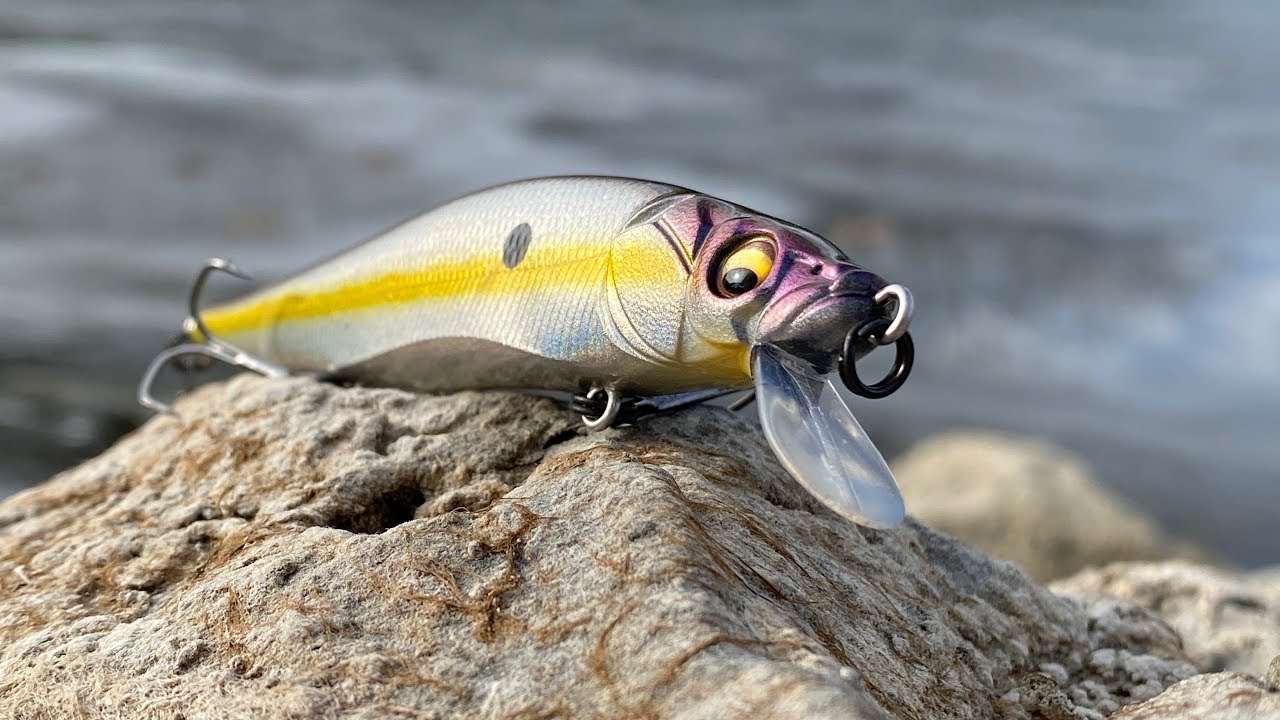 Michigan Fishing Lures Underwater YouTube