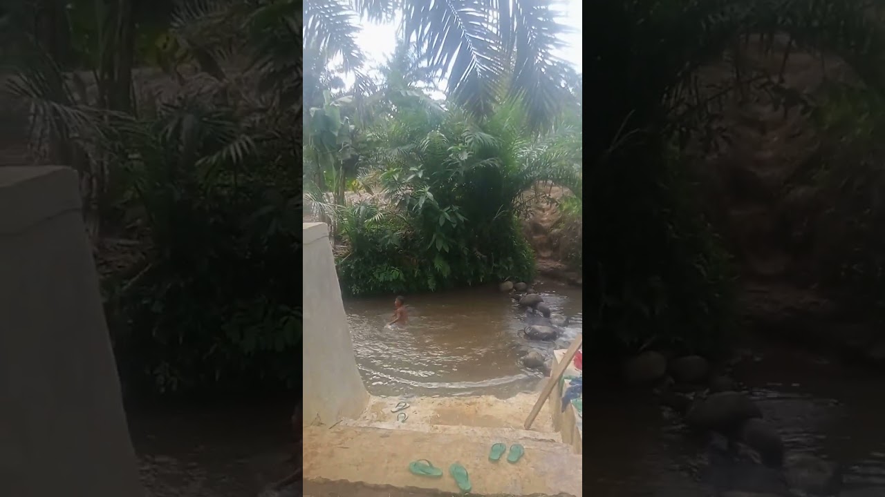 anak-anak mandi disungai alam pedesaan