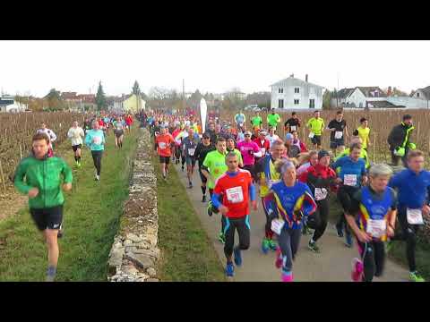 Semi-marathon de Beaune 2017 poster