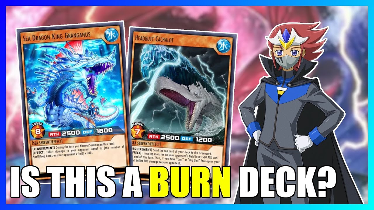 SEA SERPENTS COME OUT WITH A SPLASH!! | Rush Duel Links Deck Profile: Sea Serpents!! SEA SERPENTS COME OUT WITH A SPLASH!! | Rush Duel Links Deck Profile: Sea Serpents!!