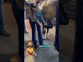 Cel mai tare animal