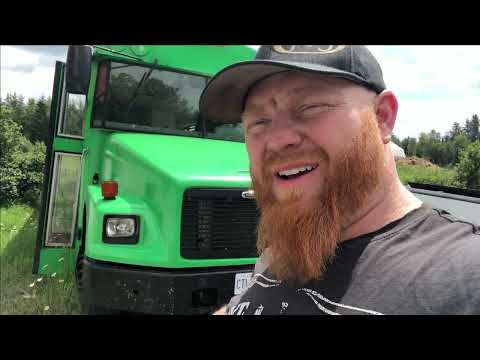 Bus Returns!! ...cruise night