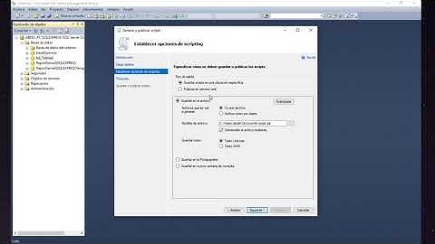 Exportar Bases de Datos SQL Server