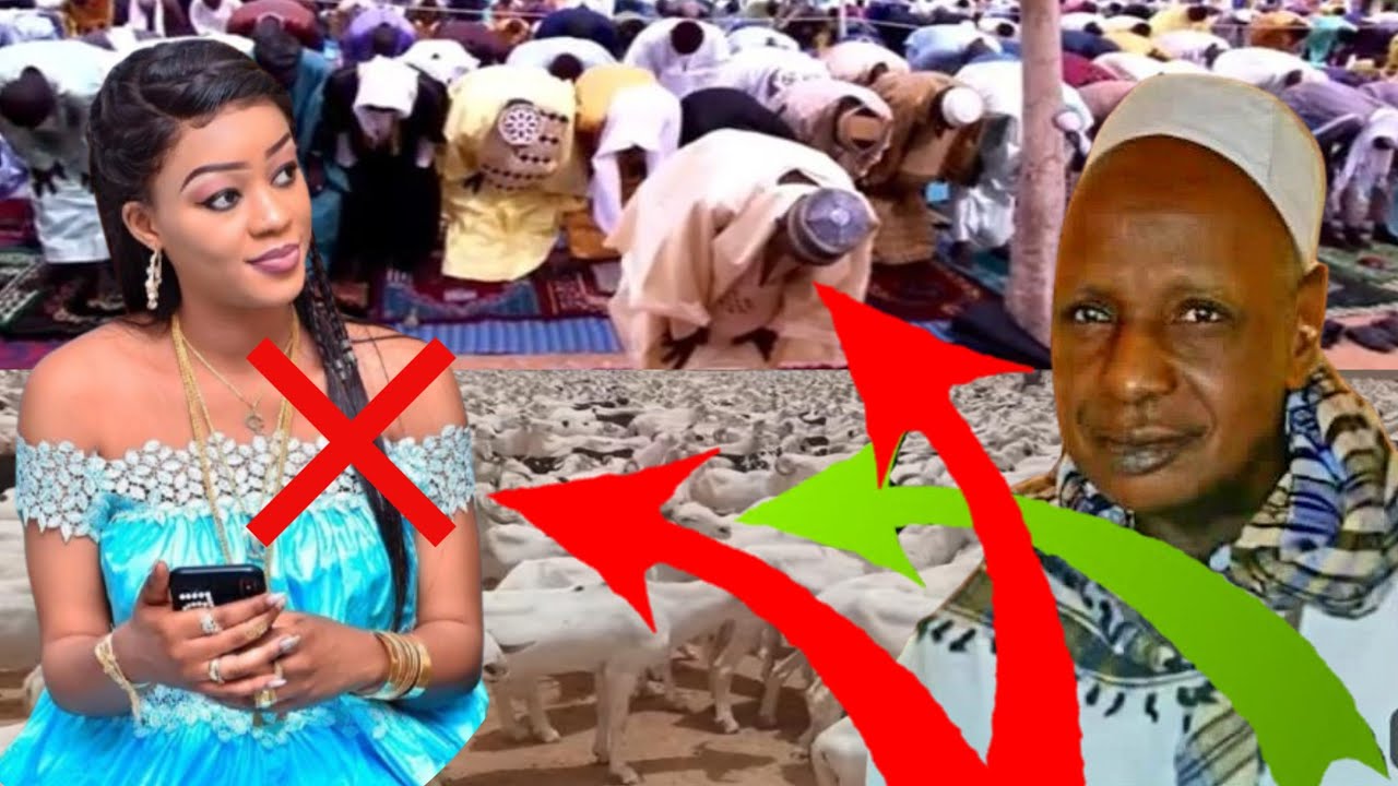 Thierno Amadou Tidiane Alpha ba Heɗɗo Ganndo Paama ko Tafsiir e Naamnde diine