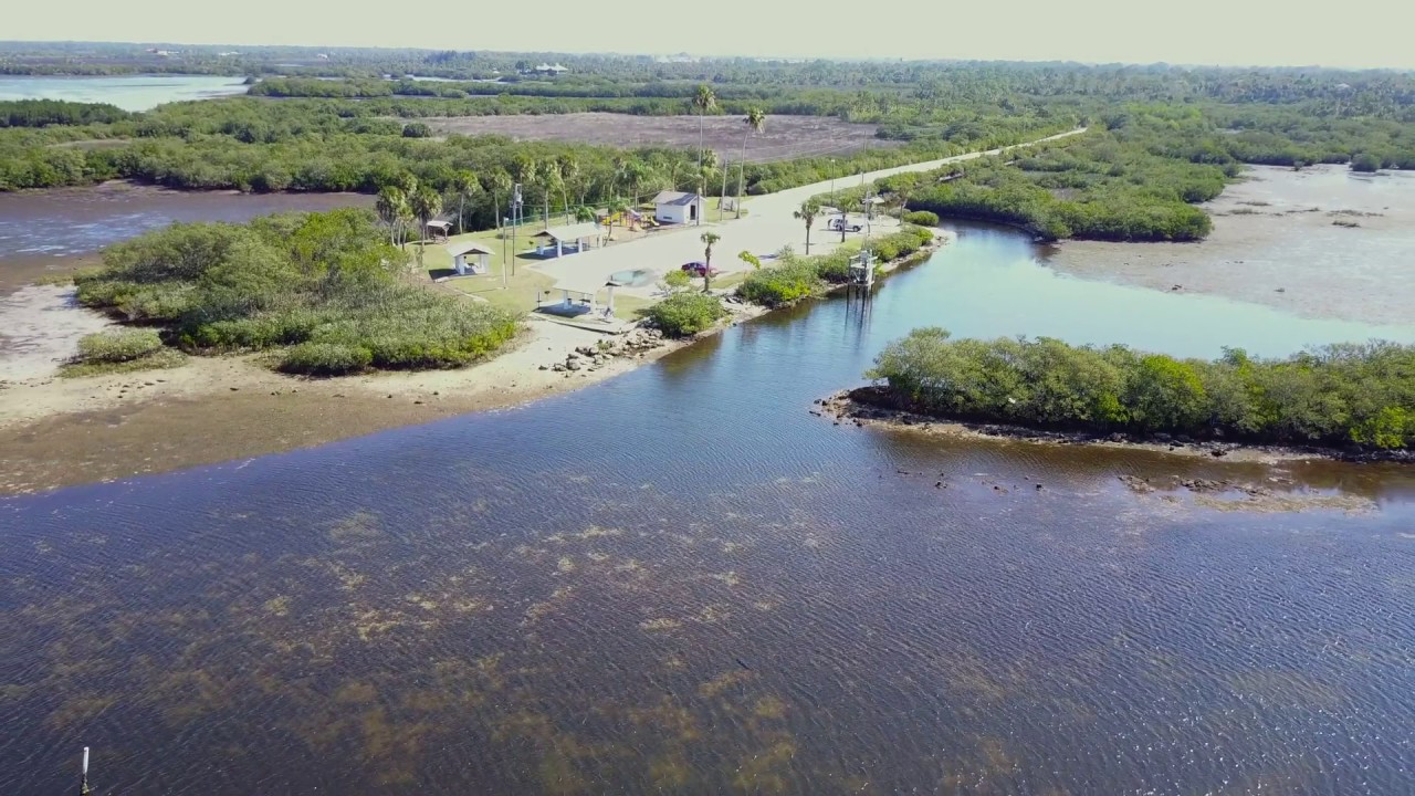 Brasher Park Drone Selfy 3-15-17