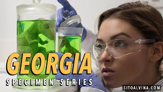 Model Spotlight Georgia Specimen Series Rebor Oddities Tyrannosaurus Velociraptor Fetus Bts