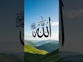 Trust in Allah #shotsvideo