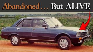 Peugeot 504 (1968–2006): The Car Europe Abandoned — So Why Did the World Keep It Alive?