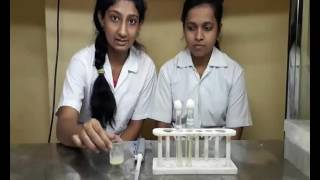 How to test ammonia production by a bacteria