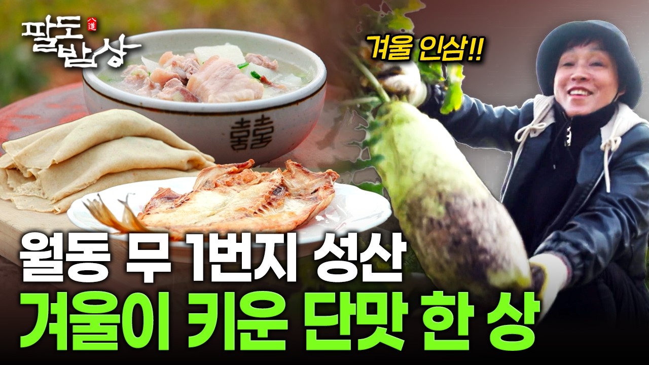 제주 성산 월동 무, 접짝뼈국·도새기뭇국·메밀 빙떡까지 겨울 별미 총집합 | KBS 260221 방송