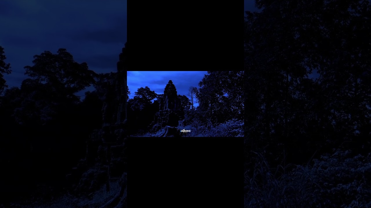 Can’s sleep just want to see moon light