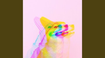 Modish Backdrops for Best Doggy Memories