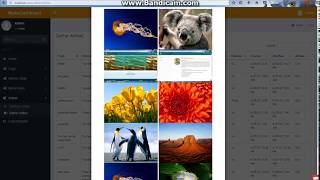 Belajar membuat WEB berita dengan Cakephp admin LTE dan tema dari freeCss