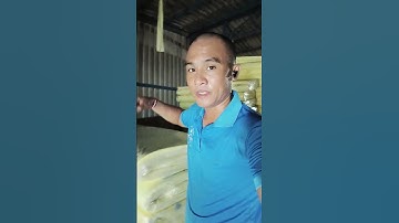 Mua nệm ở đâu #nemcaosu #nemvanthanh #giacngungon