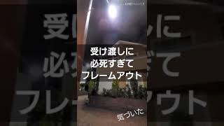 淡路島の新玉ねぎ狂騒曲 おすそ分け編