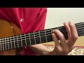 毛皮のマリーズ YOUNG LOOSER (弾き語りカバー)