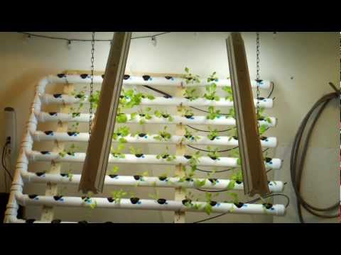 how to build a diy hydroponic gadget