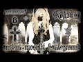 【妖精帝國】 - 「ancient moonlit battleground」 GUITAR COVER † BabySaster