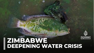 Pollution In Lake Chivero Worsens Zimbabwes Water Crisis