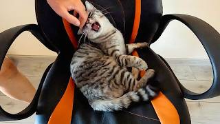 I Have A Teams Meeting In 5 Minutes