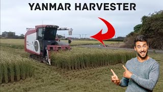 Yanmar harvester I Mini combine harvester I Dhan katne ki machine I Harvester machine