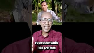 Daniel 244 Já Se Priu