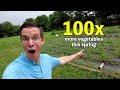 Our garden is EXPLODING with veggies! (Gardening in Missouri Vlog)
