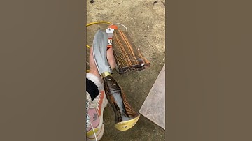 Curi mới tanh vừa ra lò | Dao phúc sen