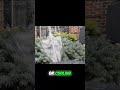 Smart Sprinklers: Control Water & Cool Your Yard Instantly!