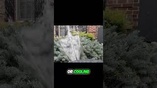 Smart Sprinklers: Control Water & Cool Your Yard Instantly!