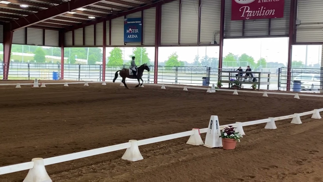 USDF First Level 3 Irish Belle/Lisa OBrien Dressage at the Meadow. 30 April 2023